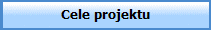 Cele projektu