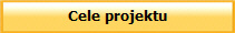 Cele projektu